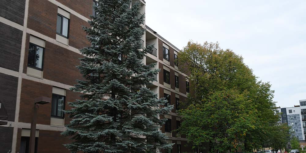 York Plaza Apartments – Edina, MN